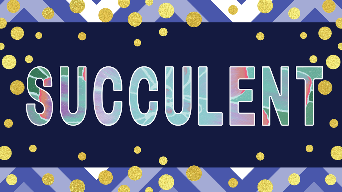 Bloom with Our New Succulent Collection