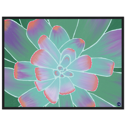 4b40c7b1-b3e1-434c-99c0-d3fae043c09e