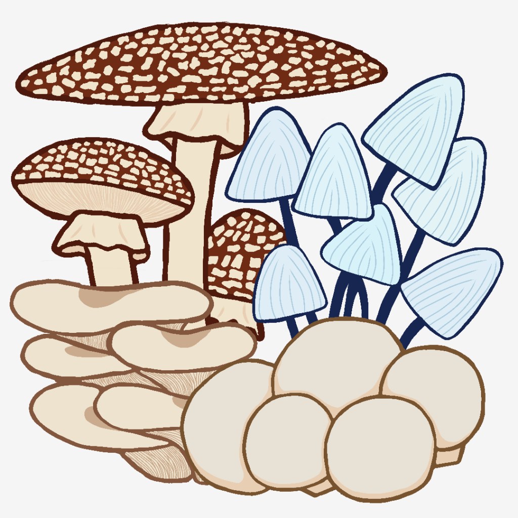 Mushrooms